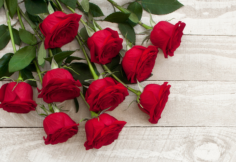 10 Tips To Keep Roses Looking Great