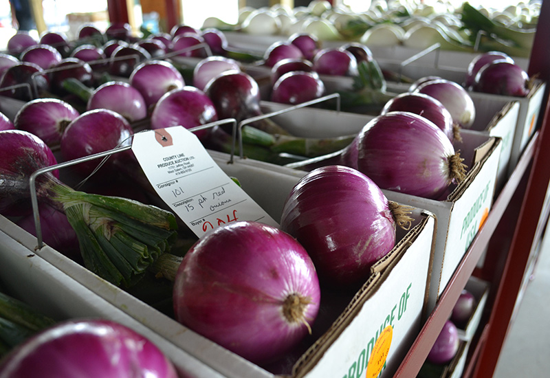 Candy-Onions