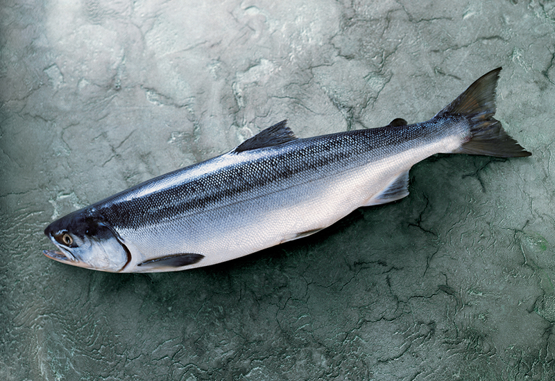 Fresh, Wild and Sustainable Seafood from America’s Great Land