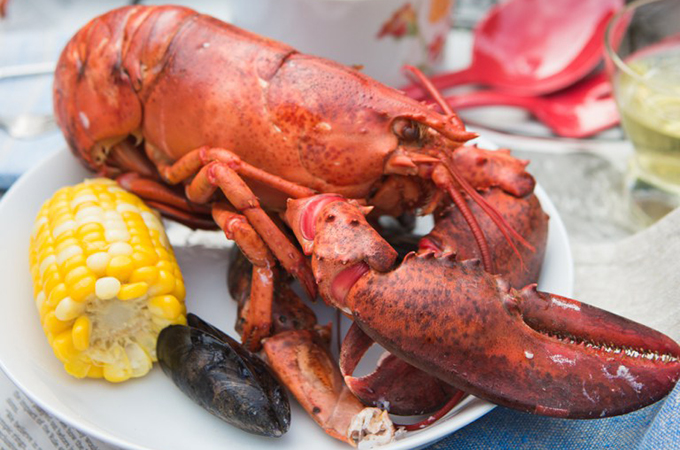 Lobster Bake