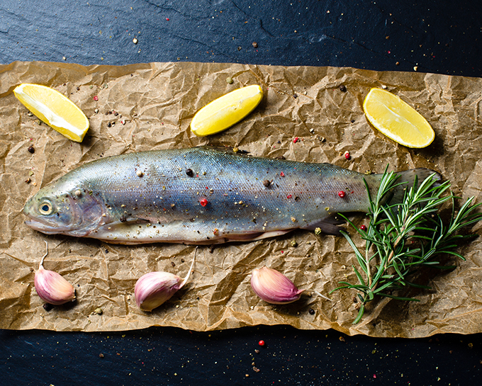 Whole Fish Blog Interior