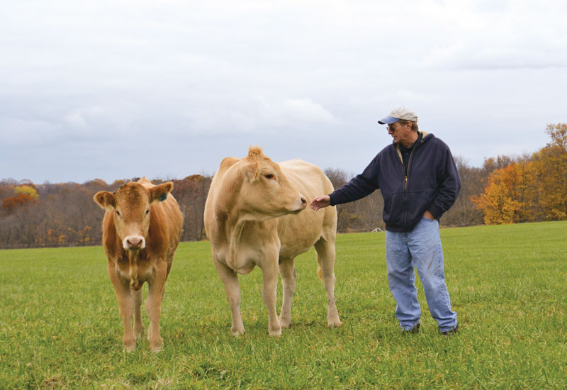 Where’s the (Local) Beef?