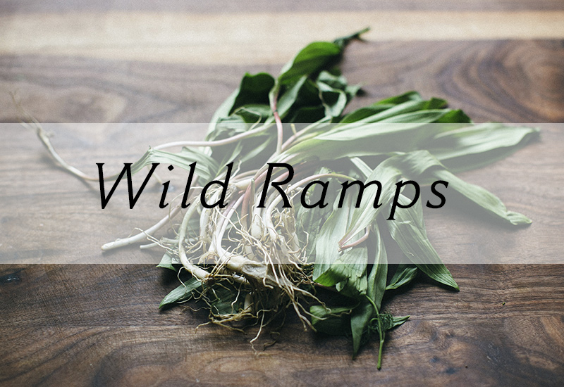 Ramps / Wild Leeks