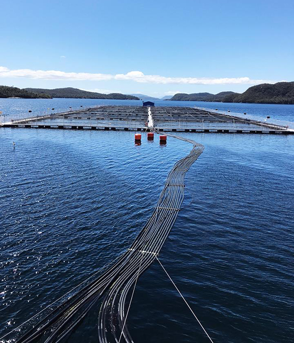 Verlasso Salmon Farming Nets