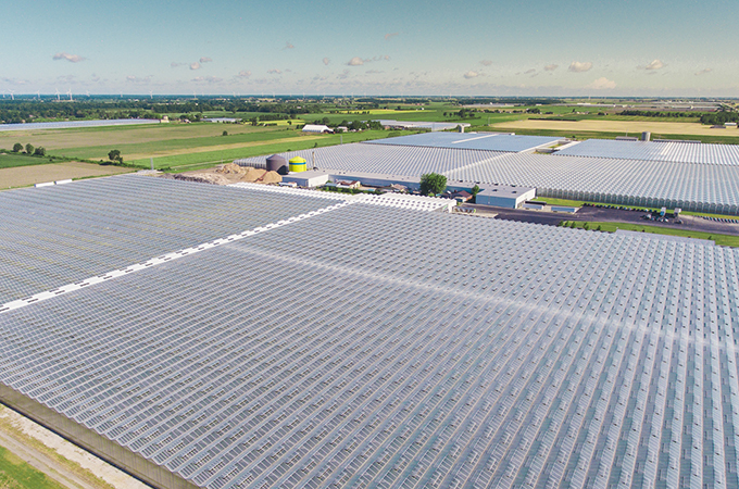 NatureFresh Leamington Greenhouse Overhead Shot