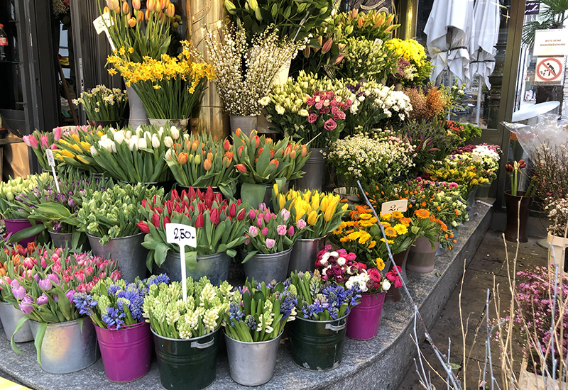 German Retailer Flower Section