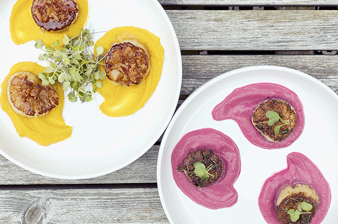 Pan-Sewared Scallops on Beet and Sweet Potato Puree