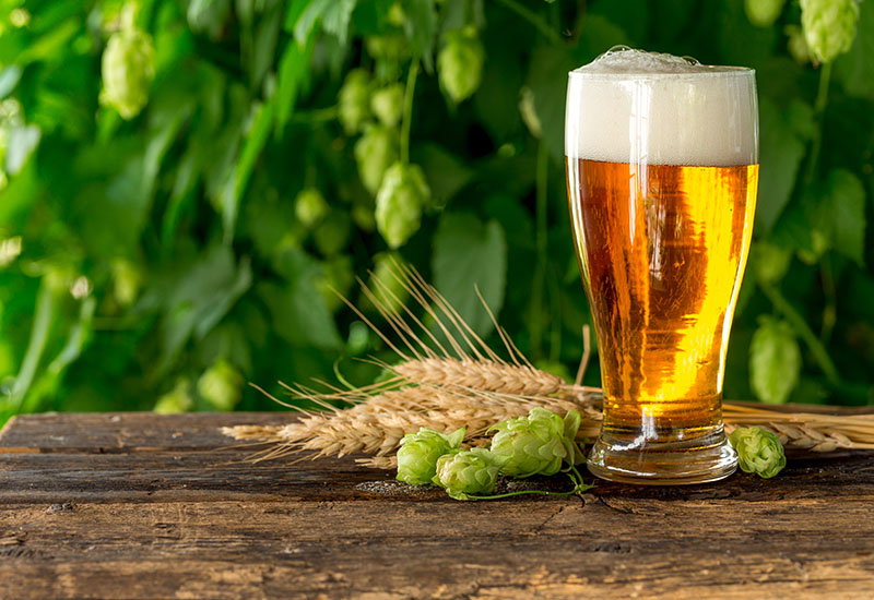 Brewing with a Purpose: Raise a Pint for the 50th Anniversary of Earth Day