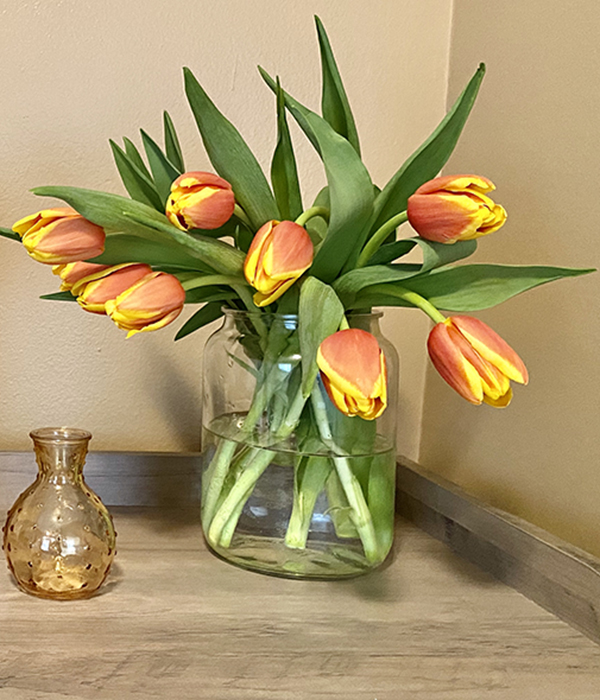 Tulips