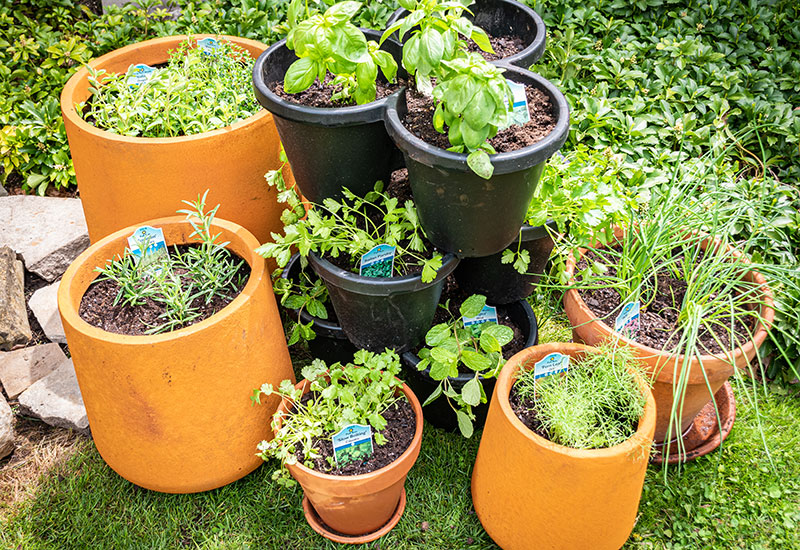How to Make a DIY Stacked Herb Garden