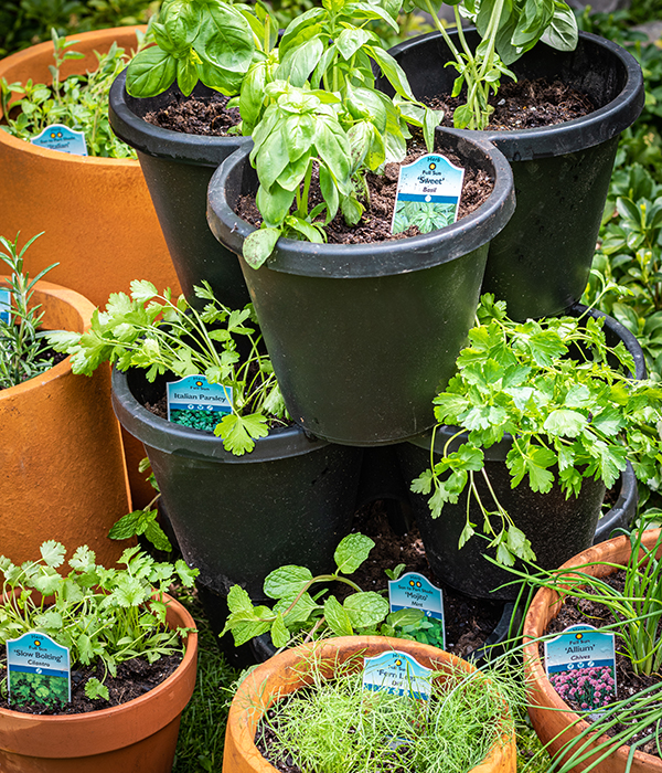 DIY Stacked Herb Garden