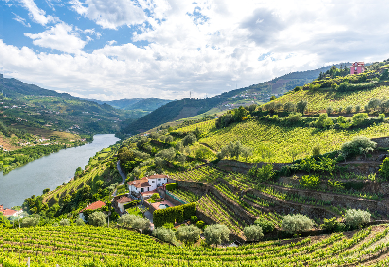 An Exceptional Wine from Portugal