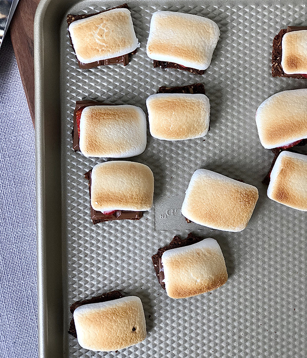Baking sheet with melted chocolates topped with strawberries and toasted marshmallows.