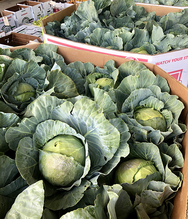 Locally Grown Lettuce