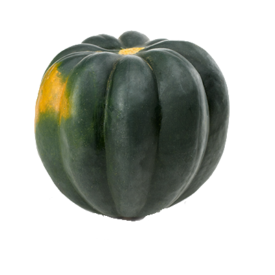 Acorn Squash