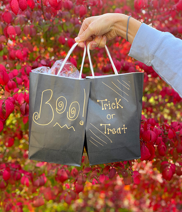 Boo Bags