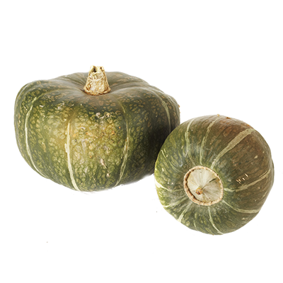 Buttercup Squash