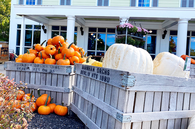 Heinen's Pumpkins