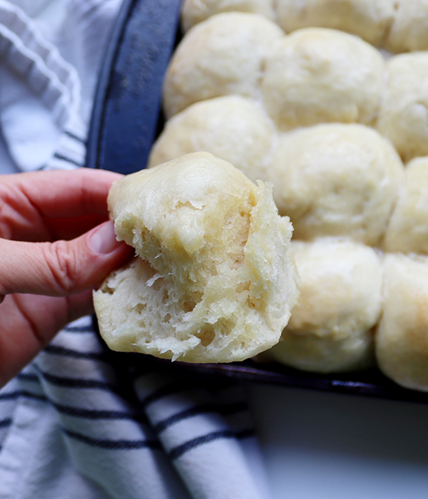 Homemade Dinner Rolls