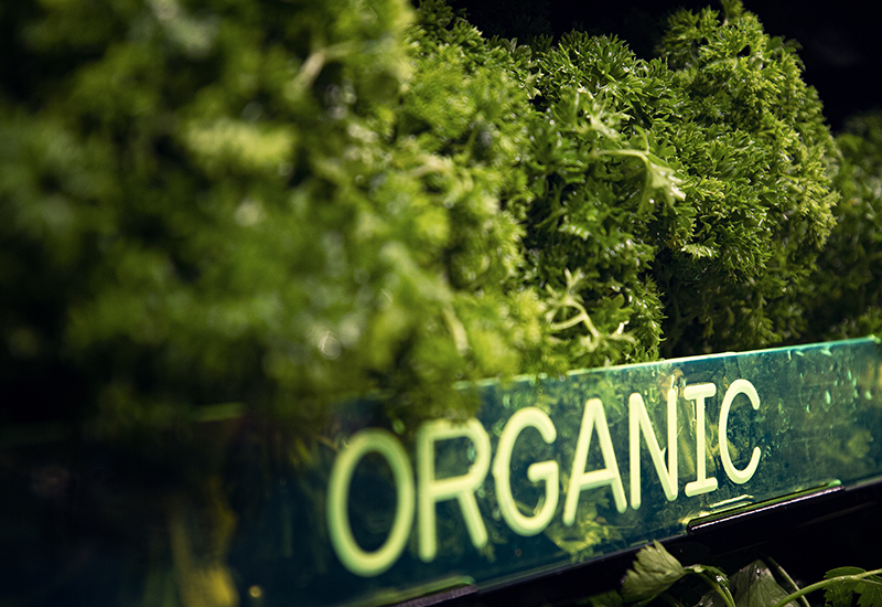 The Basics of Organic