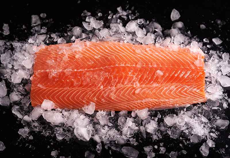 Whole Salmon Fillet on Ice