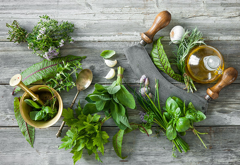 Think Green! The Benefits of Fresh Herbs
