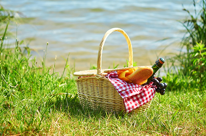 Picnic by the River