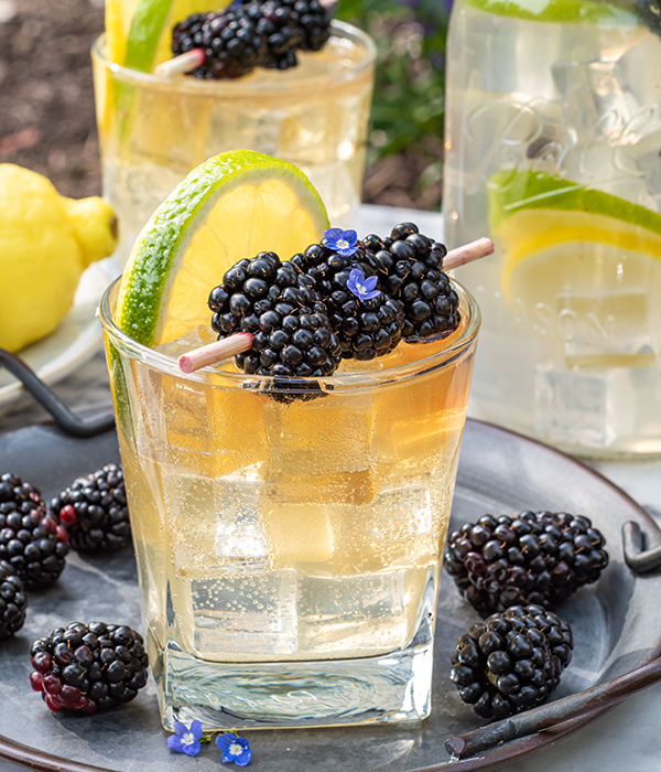 Bourbon Lemonade