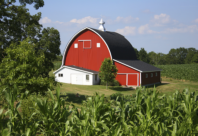 Meet our Midwest Growers