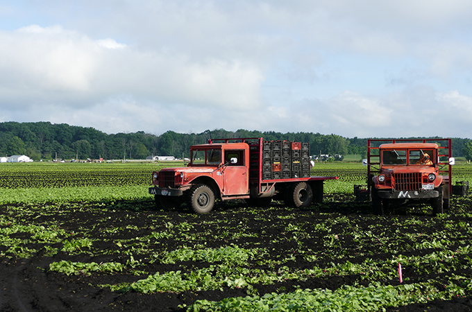 Zellers Farm