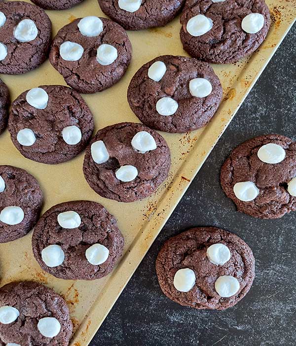 Hot Chocolate Cookies