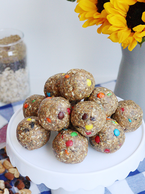 Trail Mix Bites