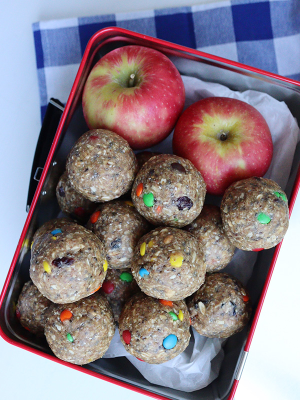 Trail Mix Bites