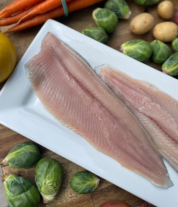 Raw Rainbow Trout Filets