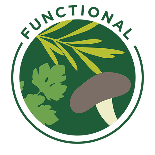 Pillar 6 Functional Foods