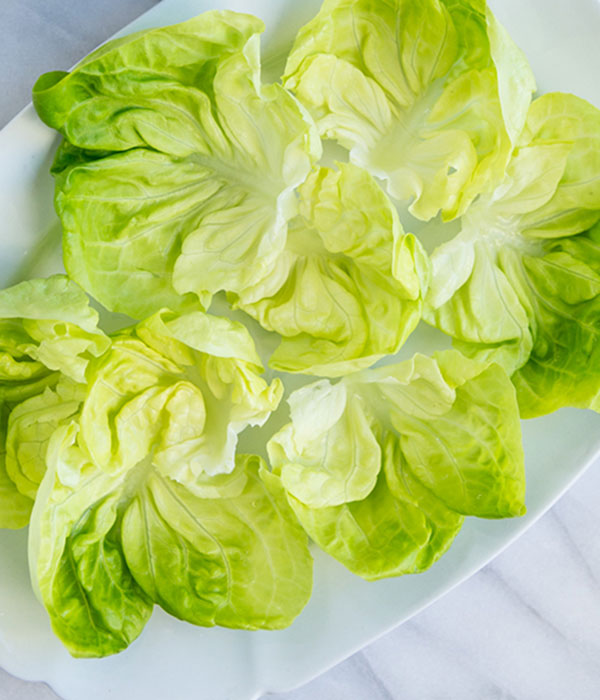 Fresh Lettuce