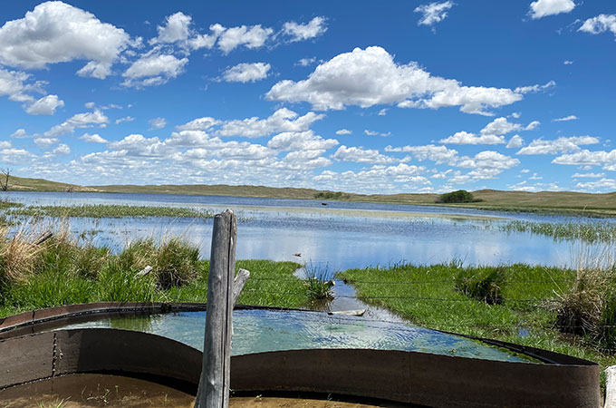 Spring Lake Ranch Body of Water