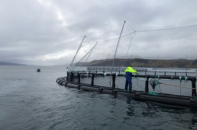 Organic Sea Harvest Salmon Farm