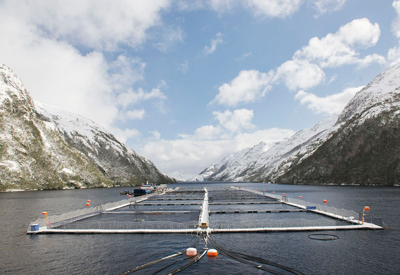 We Know Our Sources: Heinen’s Farmed Seafood Producers