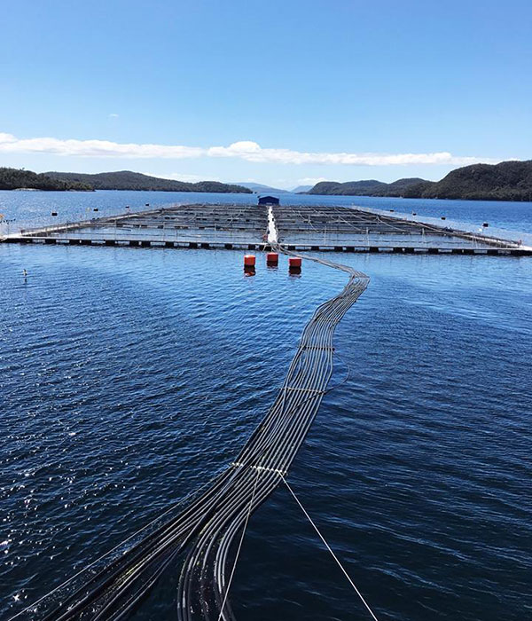 Verlasso Salmon Farm