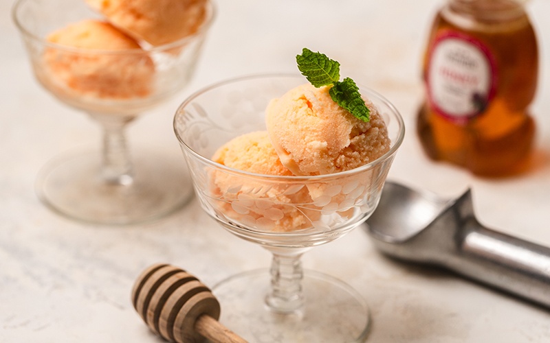 Cantaloupe sorbet ice cream maker outlet
