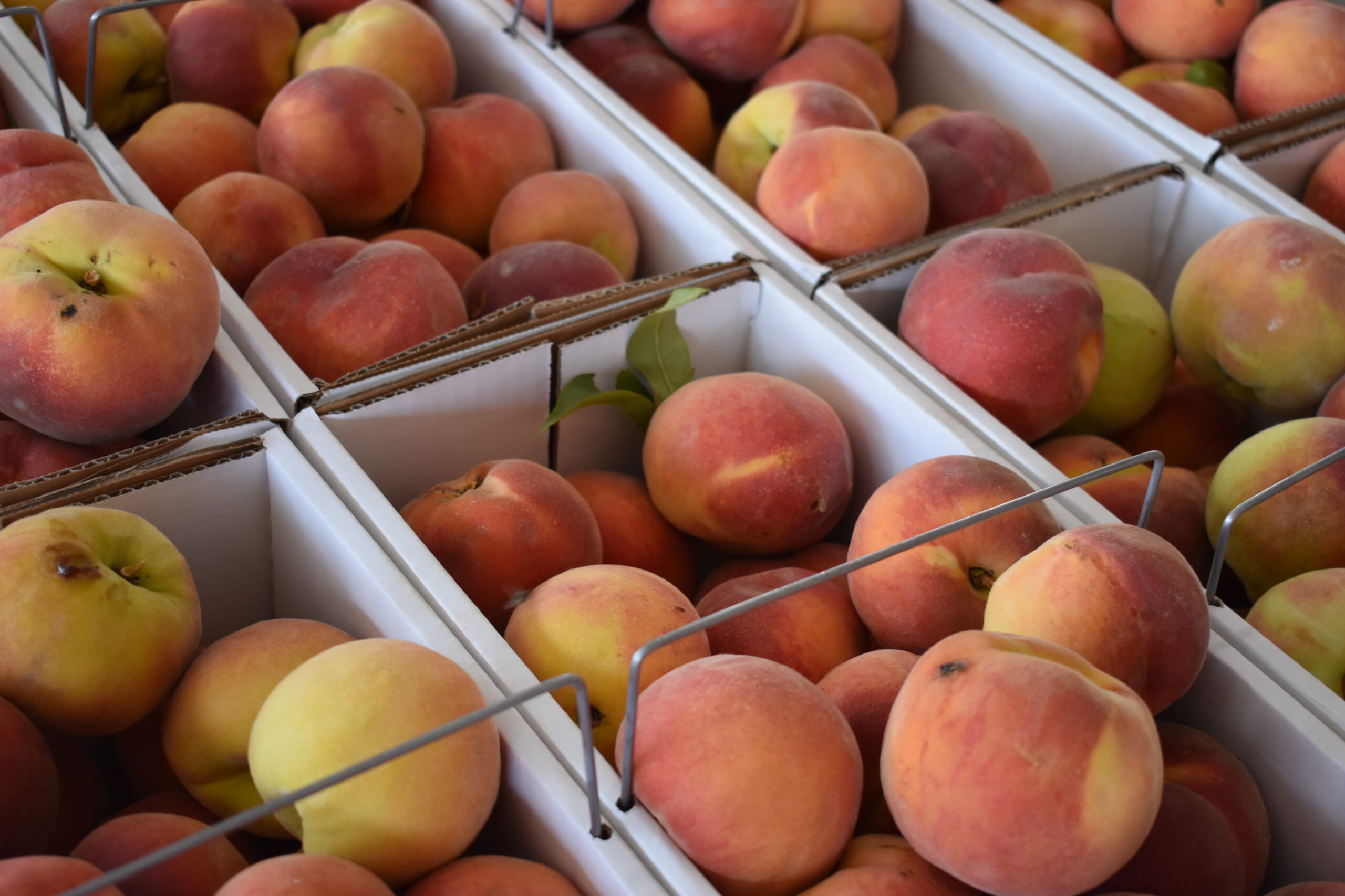 Locally Grown Produce