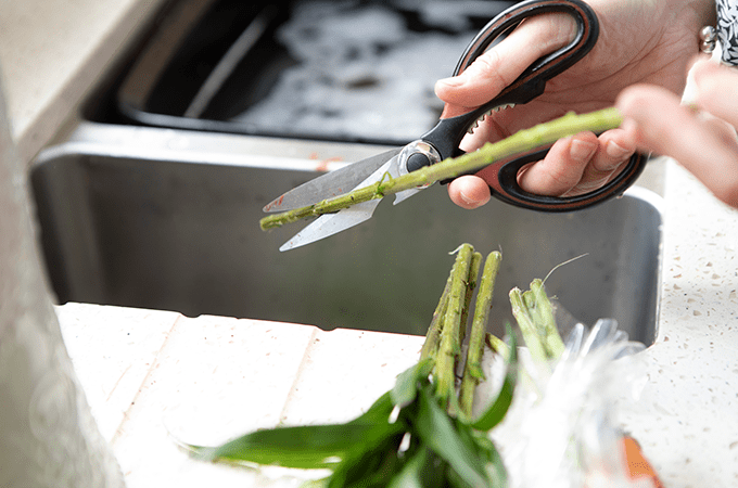 Person using scissors to cut peony stems at an angle over a sink. 