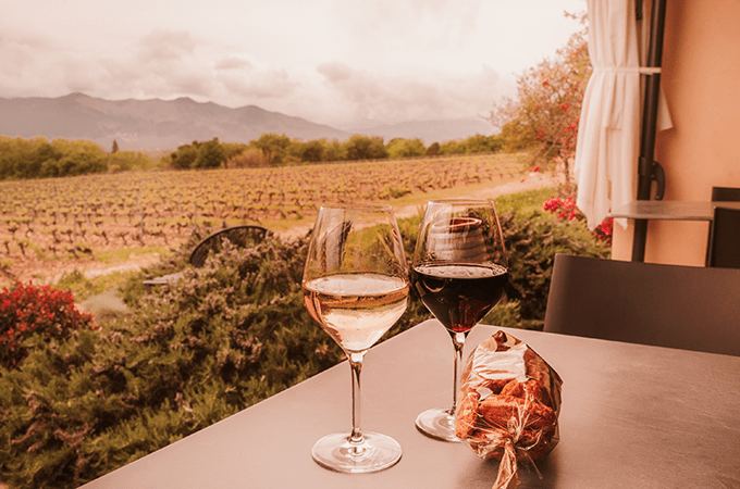 A Glass of Red and White Wine on a Tuscan Vineyard