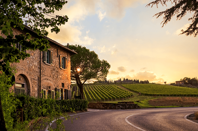 A Tuscan Vineyard at Sunset