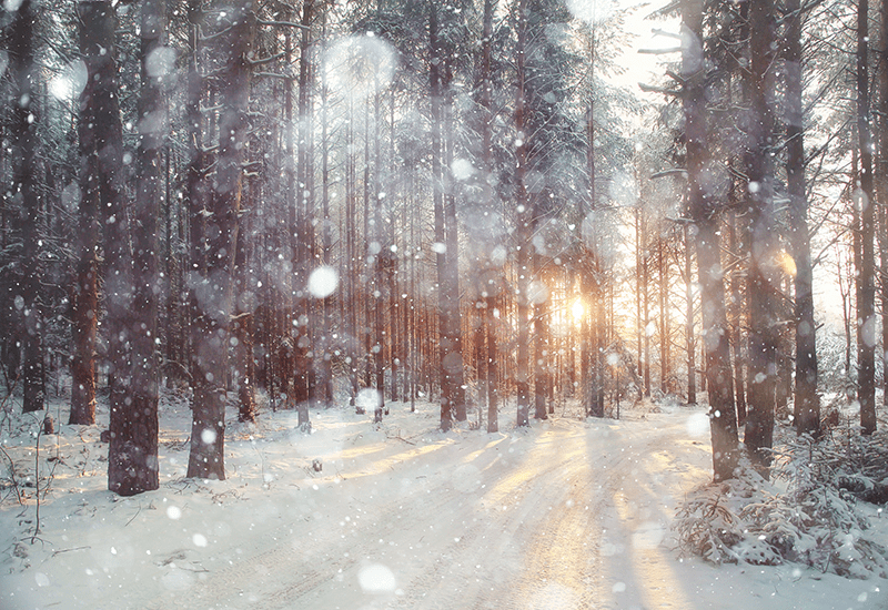 Find Your Calm: 3 Simple Ways to Stay Centered at the Holidays