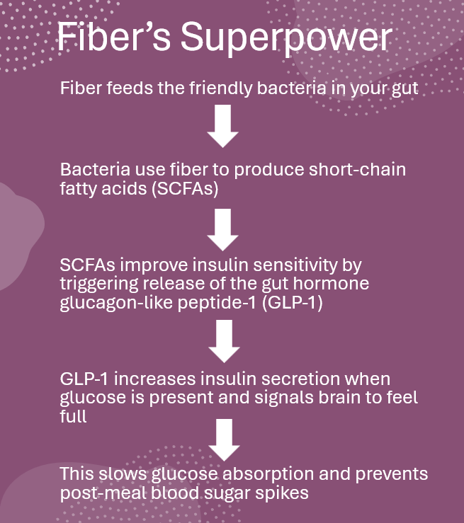 Fiber's Superpower Chart - displaying how fiber works in the body