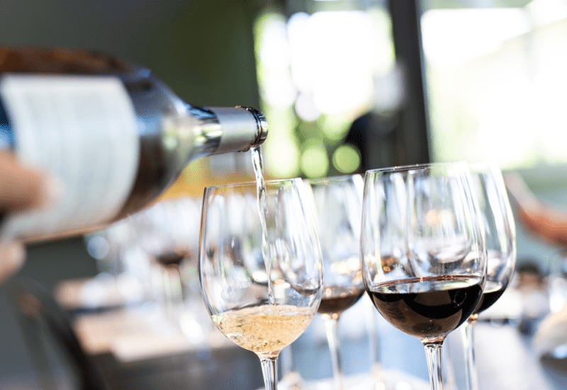 Daou Vineyards Tasting