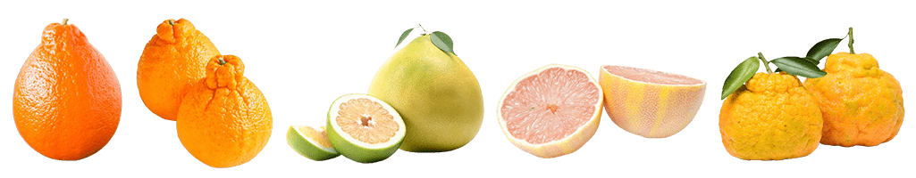 Collage of: California Minneola's, Sumo Oranges, Pummelos, Pink Lemons, & Ugli Fruit
