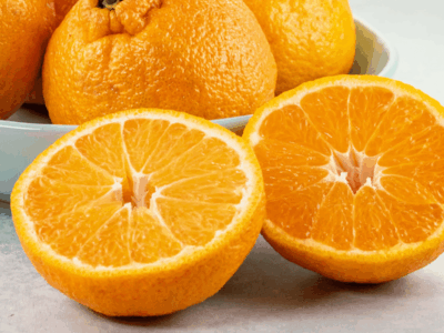 Sumo Oranges